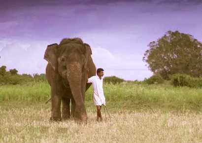 Ubuntu — Evolve Back Local Heroes